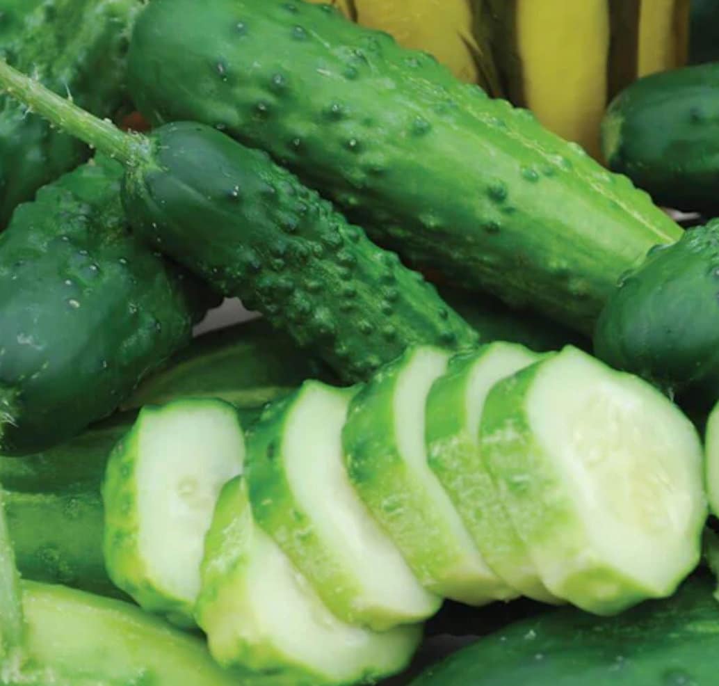 Cucumber - Early Fortune (Organic)