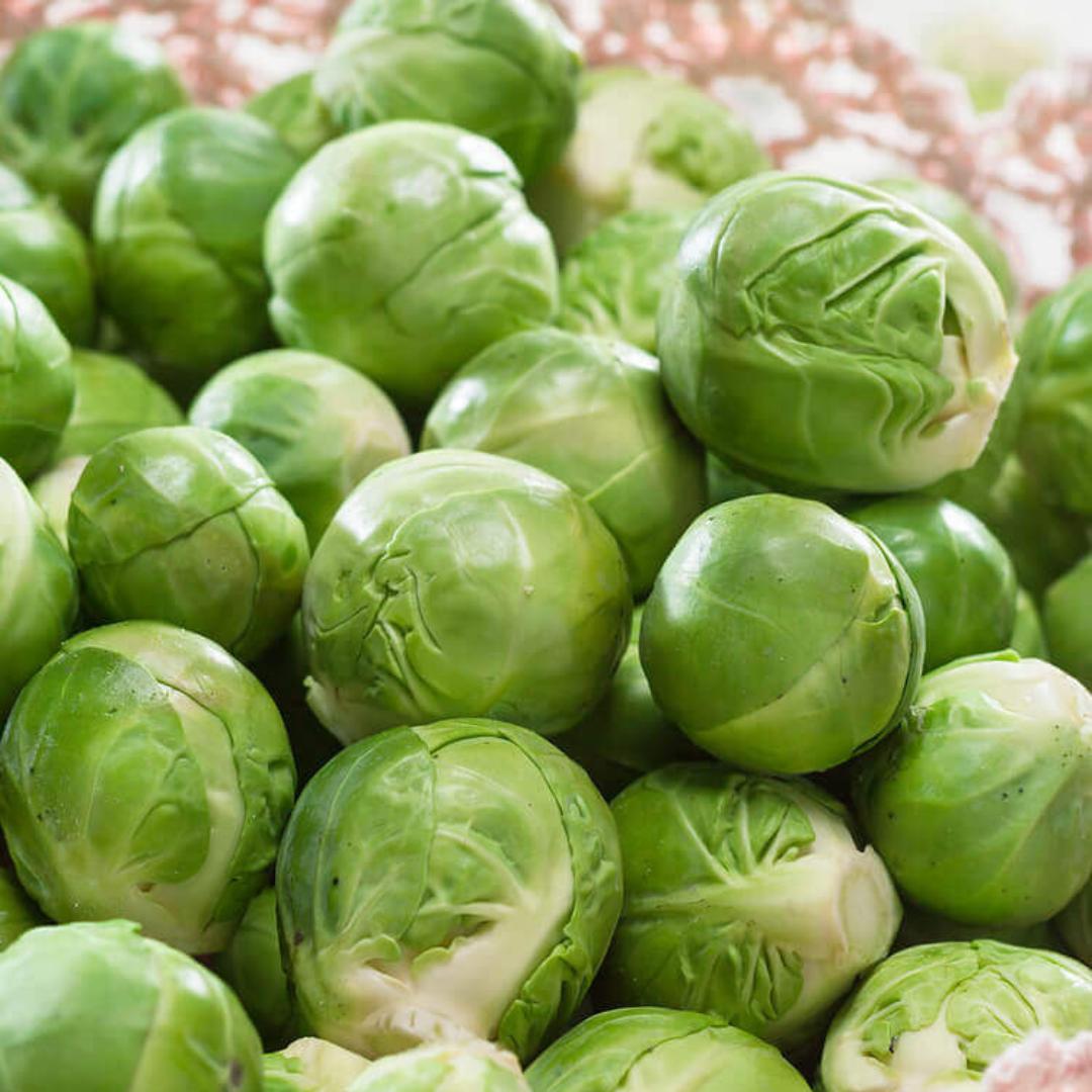 Brussel Sprout Seeds - Long Island Improved