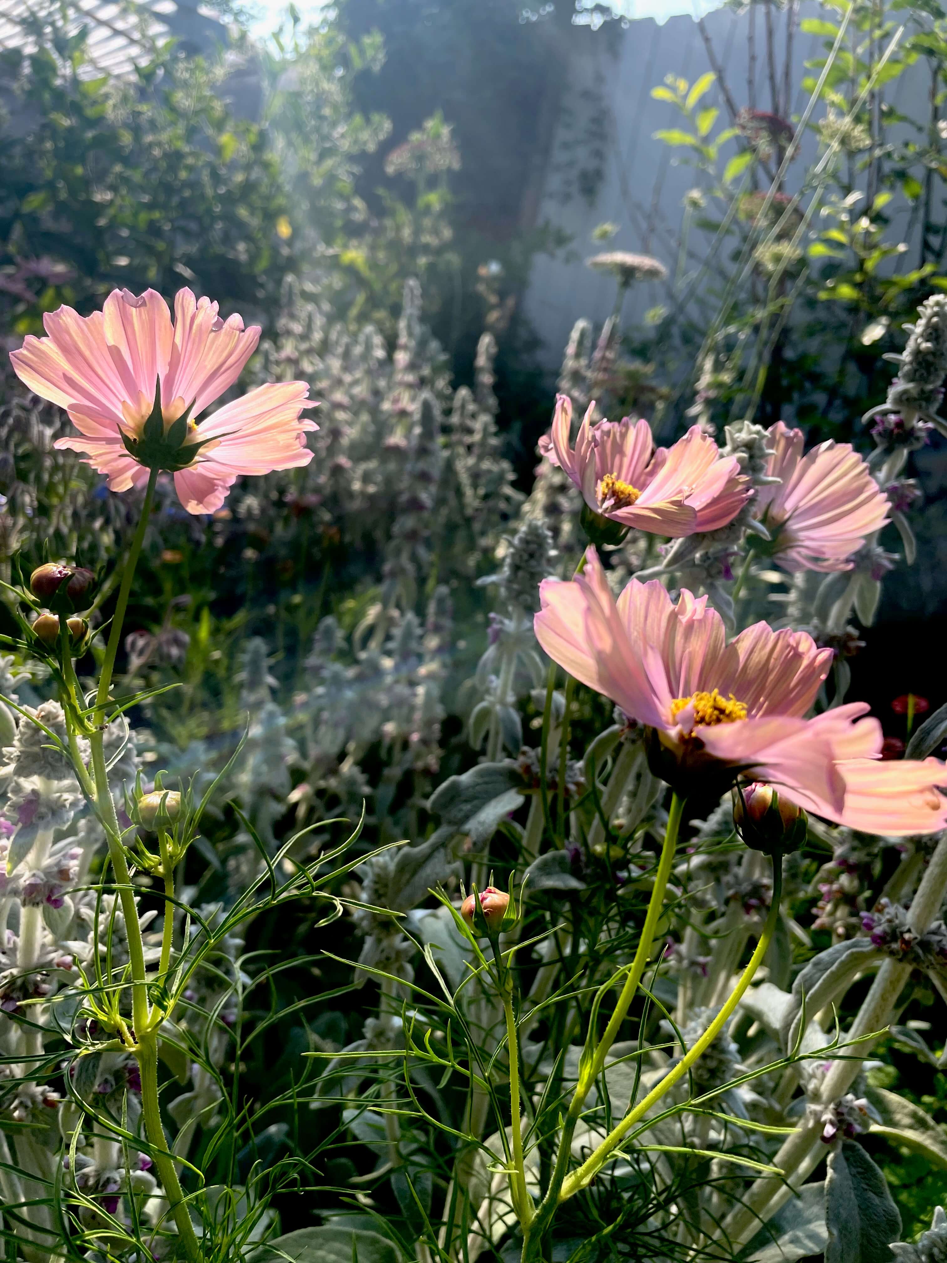 Flower garden