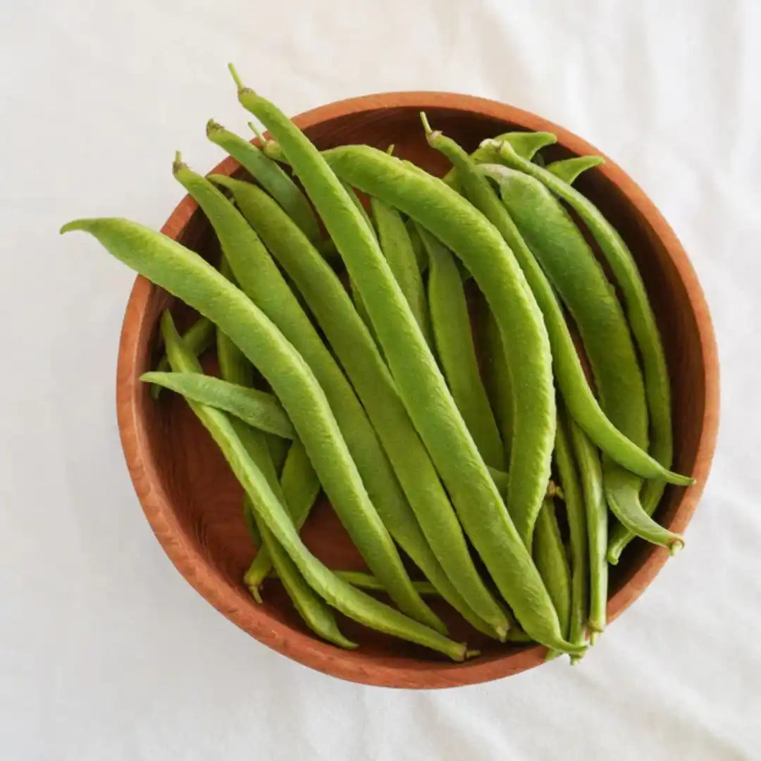 Bean Seeds - Scarlet Runner Sunset