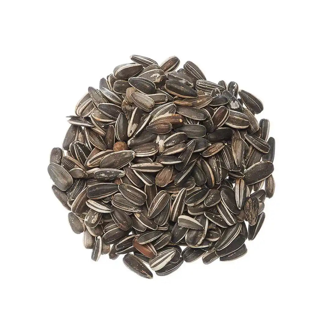 Sunflower Seeds - Mammoth Grey Stripe