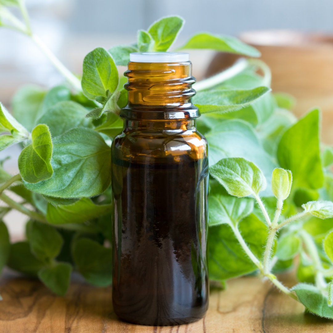 Oregano - Greek