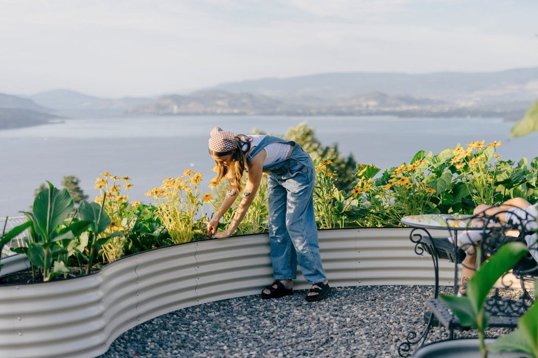 Raised Metal Garden Beds In Canada: Introducing Sprout Box – Circle Farms