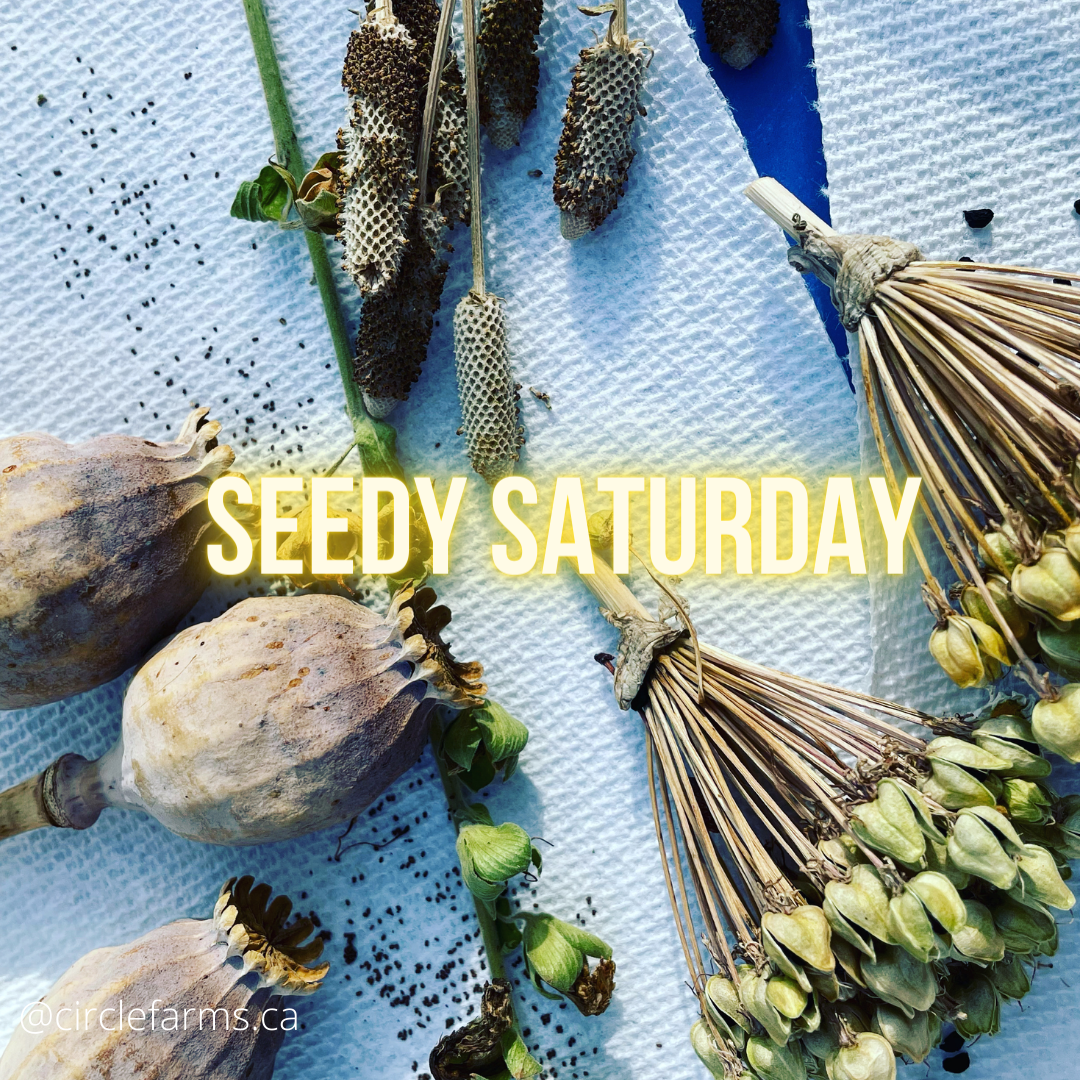Alberta Seedy Saturday Dates
