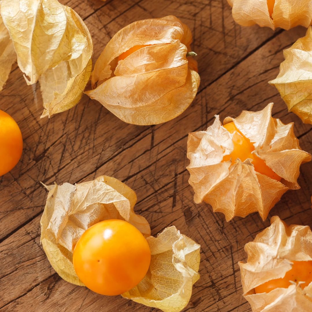 Ground Cherries From Seed: Complete Growing Guide From Germination to Harvest