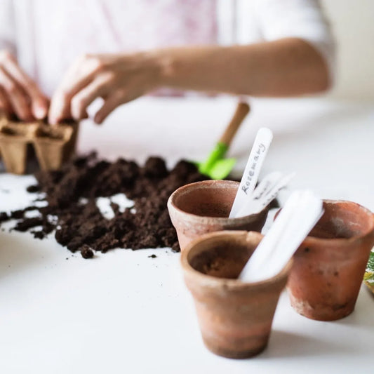 When To Start Your Vegetable Seeds In Canada - Circle Farms