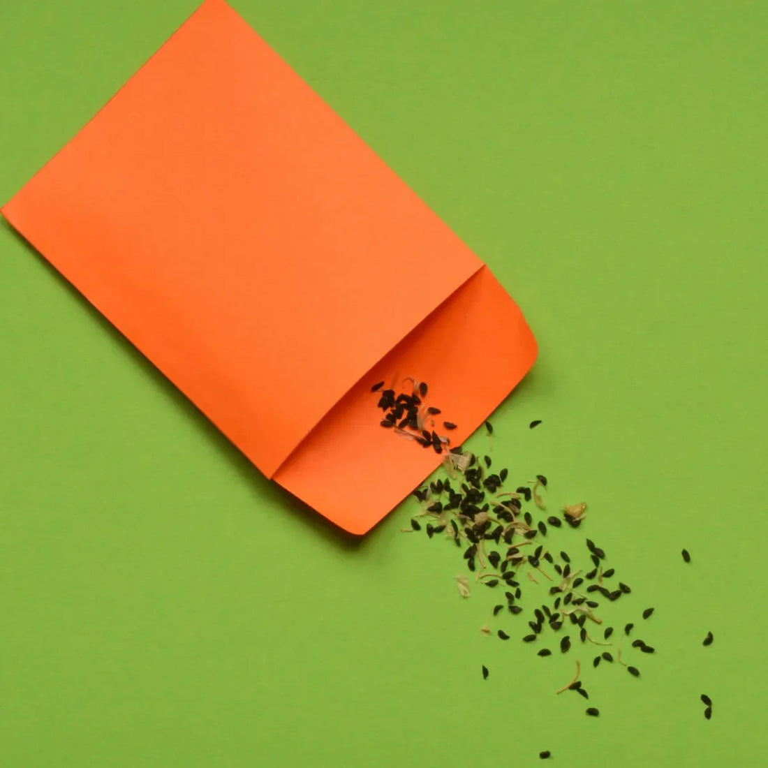 Alberta Seed Companies - Circle Farms