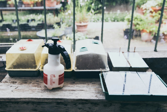 Hand sprayer used to apply liquid fertilizer to seedlings in a greenhouse