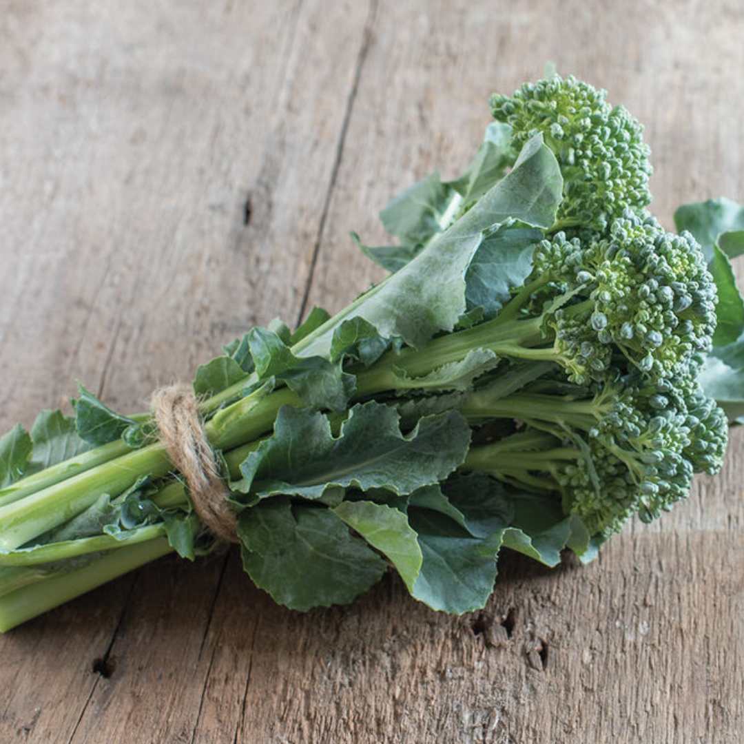 Collections – Circle Farms