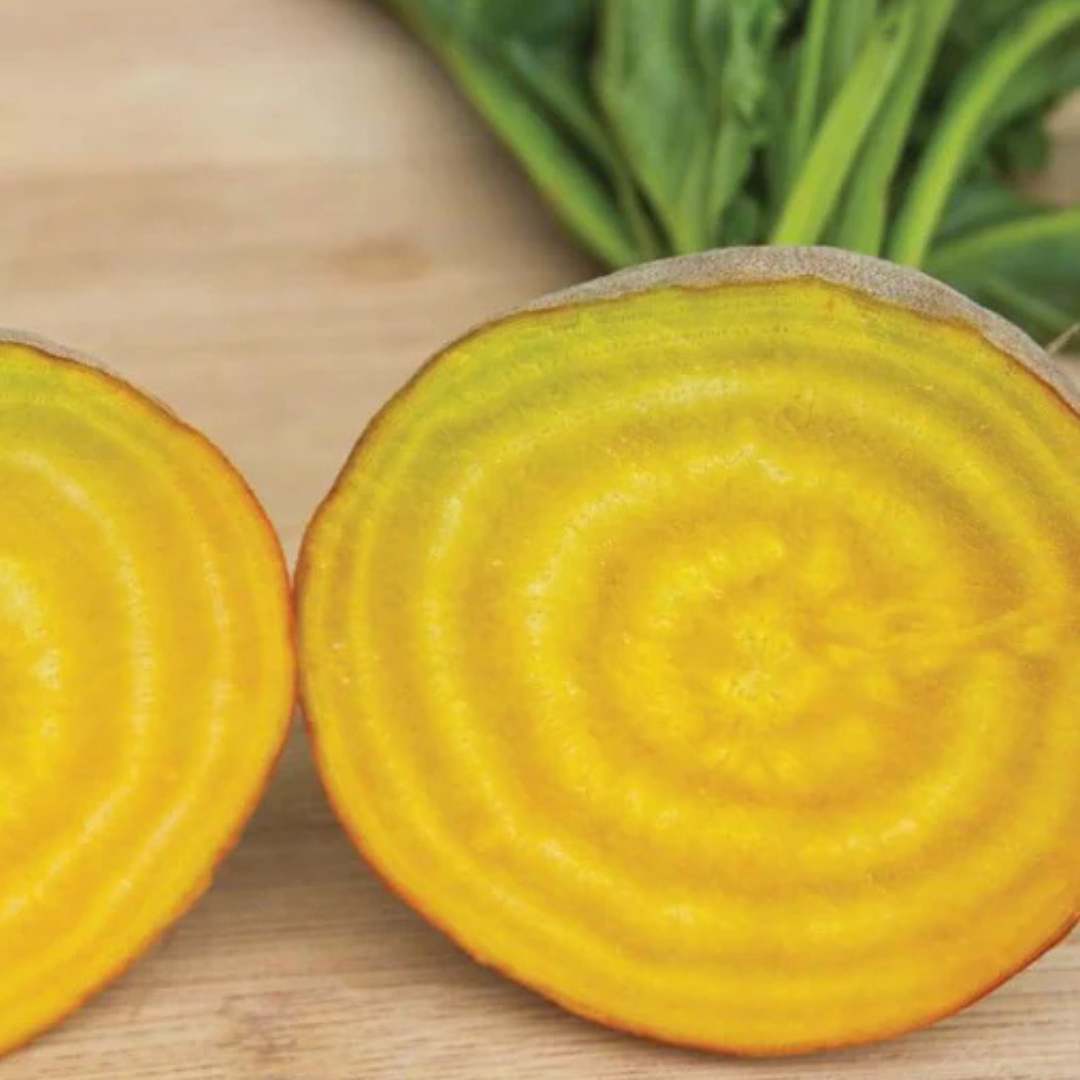Beets - Touchstone Gold (Organic)
