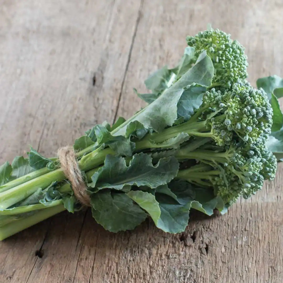 Broccoli - De Cicco (Heirloom, Organic)