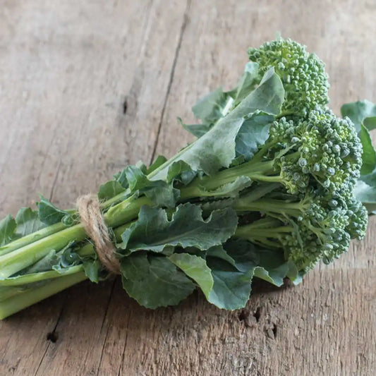 Broccoli - De Cicco (Heirloom, Organic)