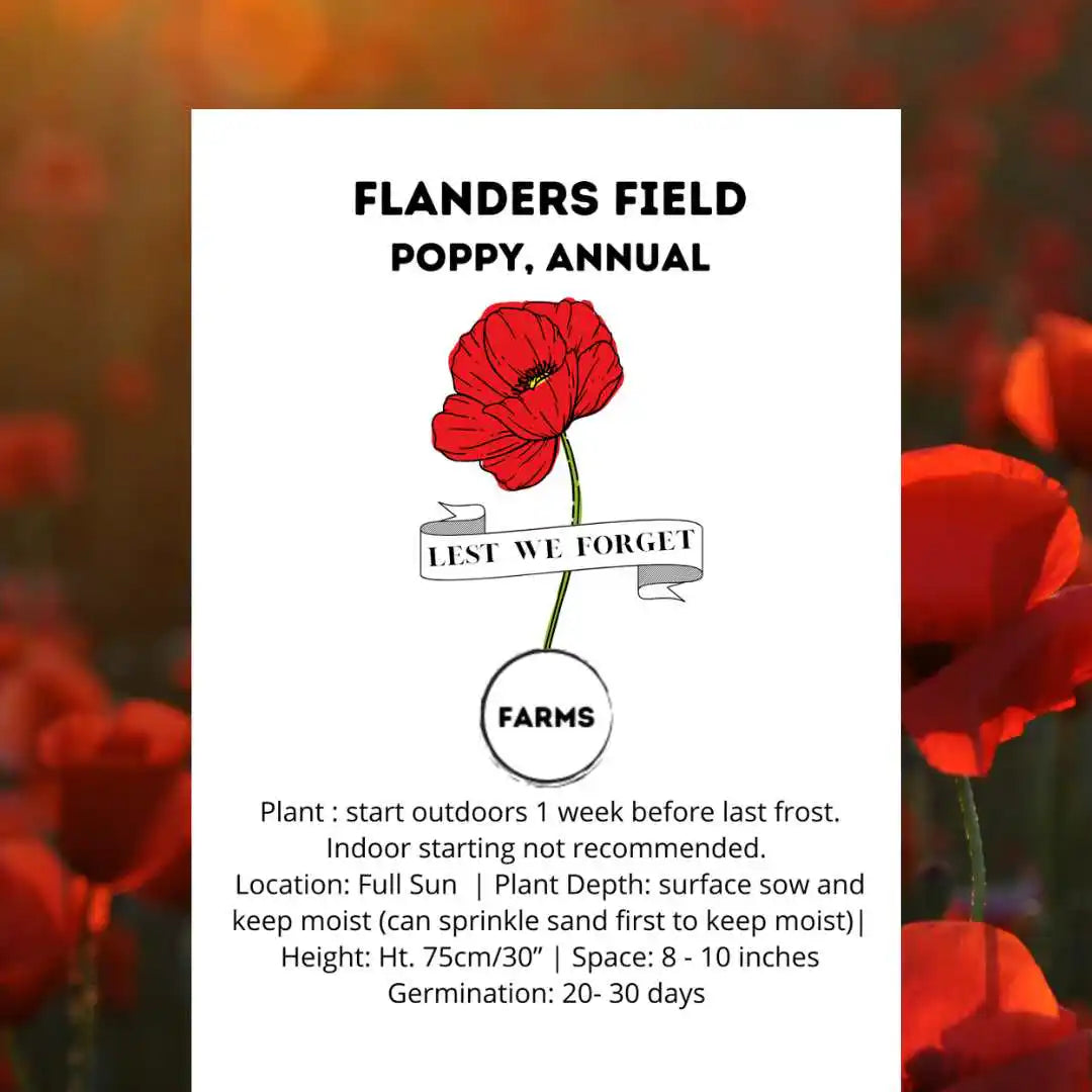Poppy Seeds - Red Flanders Fields Fundraiser