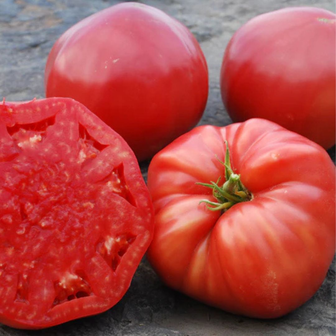 HSC Heirloom Cherry Tomato Seeds - Large, Non-GMO, Fresh Vegetable Seeds - Easy To Grow, Full Sun, Annual