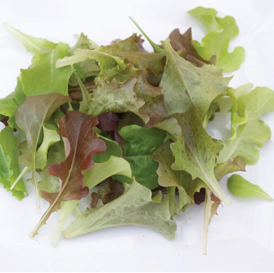 Lettuce - Bon Vivant Summer Mix