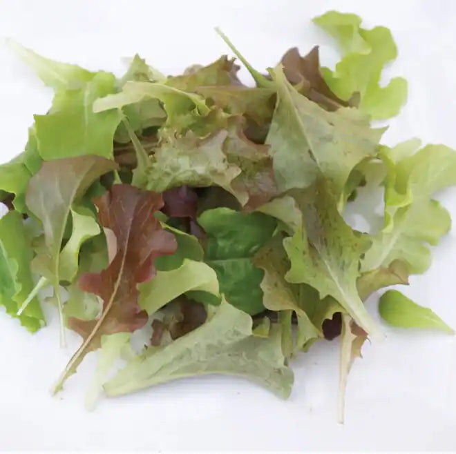Lettuce Seeds - Bon Vivant Summer Mix