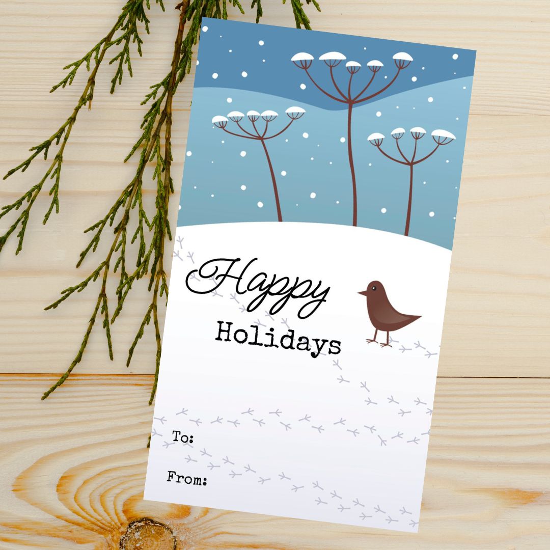 Christmas Seed Sleeves