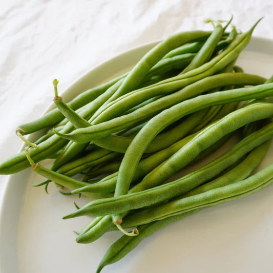 Bean Seeds - Green Goliath Bush Bean (Organic)