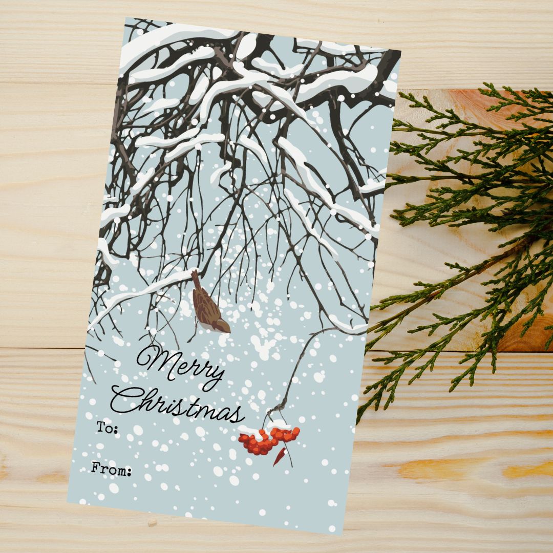 Christmas Seed Sleeves