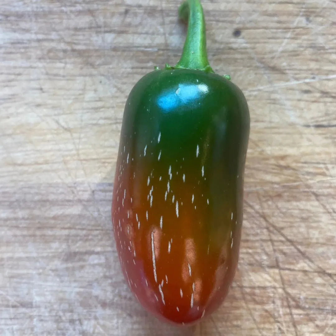 Pepper Seeds - Jalepeno Travellers Mix