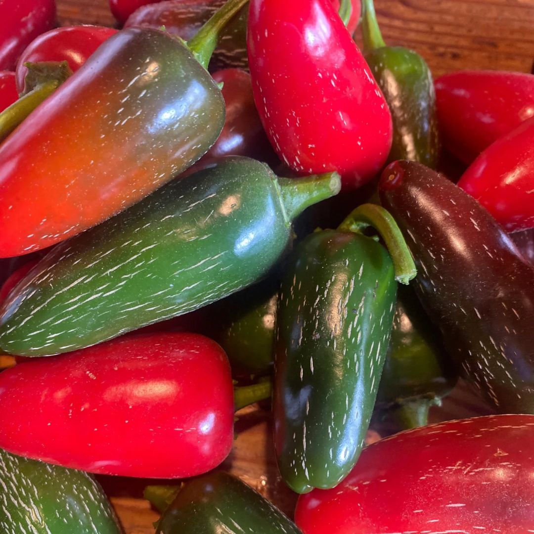 Pepper Seeds - Jalepeno Travellers Mix