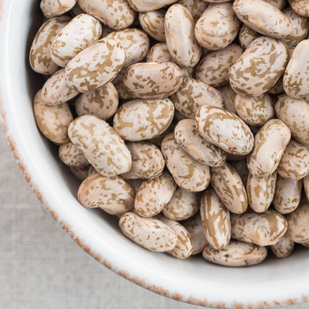 Bean Seeds - Pinto Beans