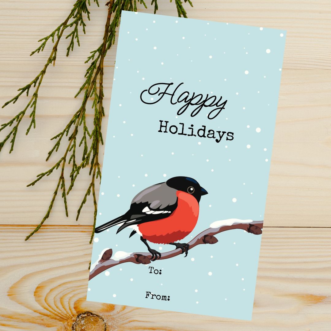 Christmas Seed Sleeves