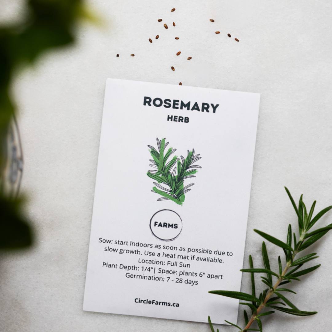 Rosemary The Herb Seeds | Online Canada - Circle Farms