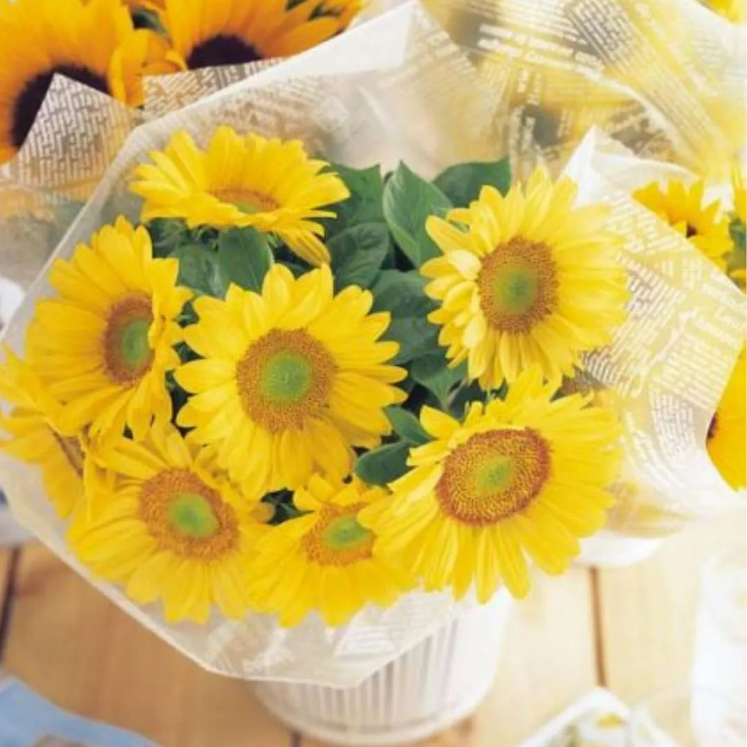 Sunflower Seeds - Sunrich Lime