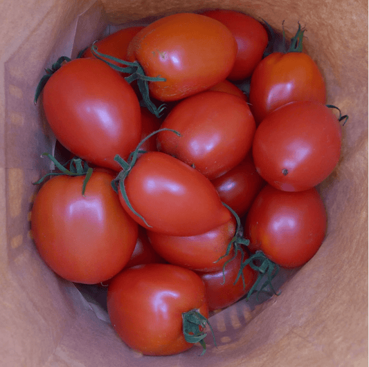 Tomato - Amish Paste Seedling Plant (Calgary Pick Up Only)
