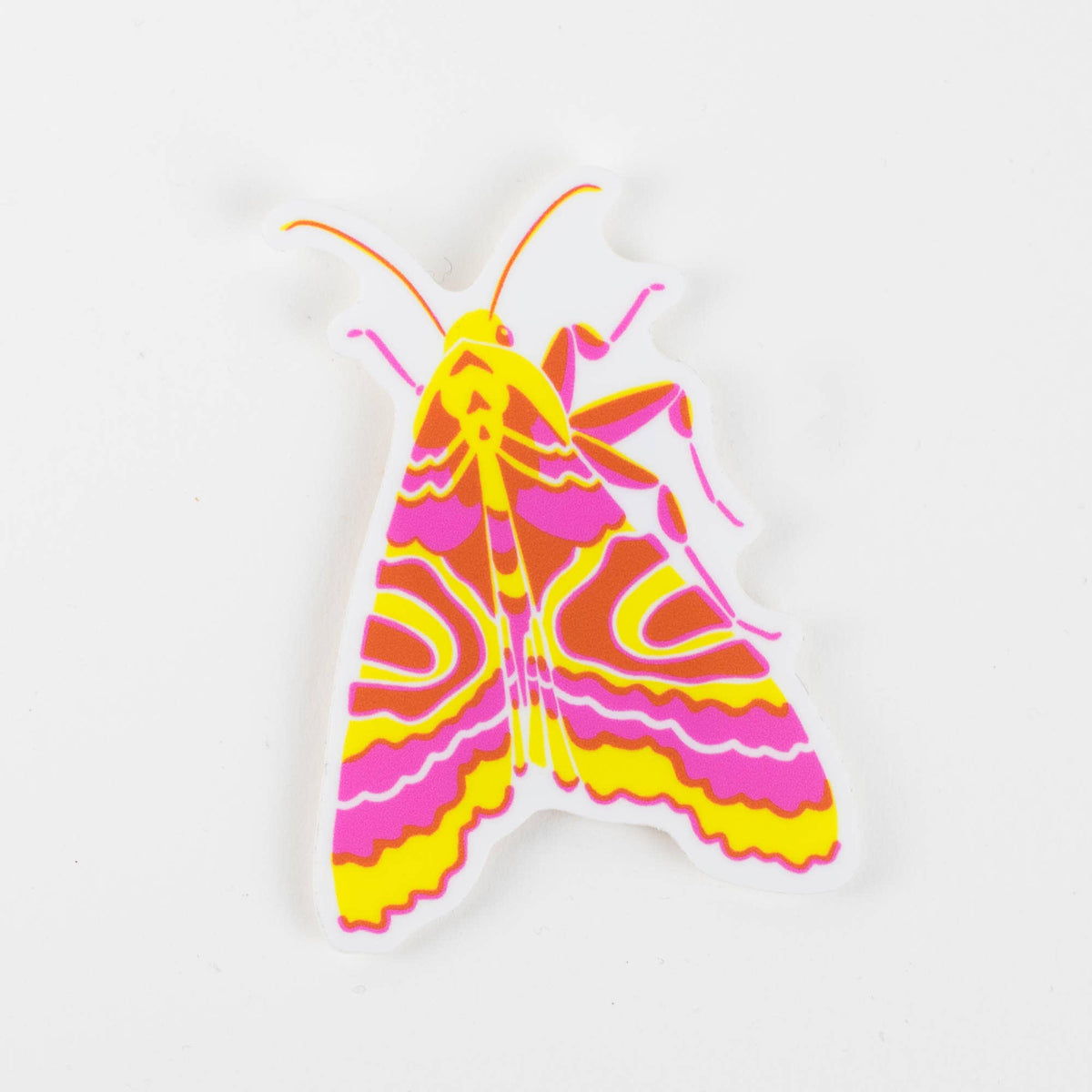 Colorful letterpress-style moth sticker with yellow and pink striped wings