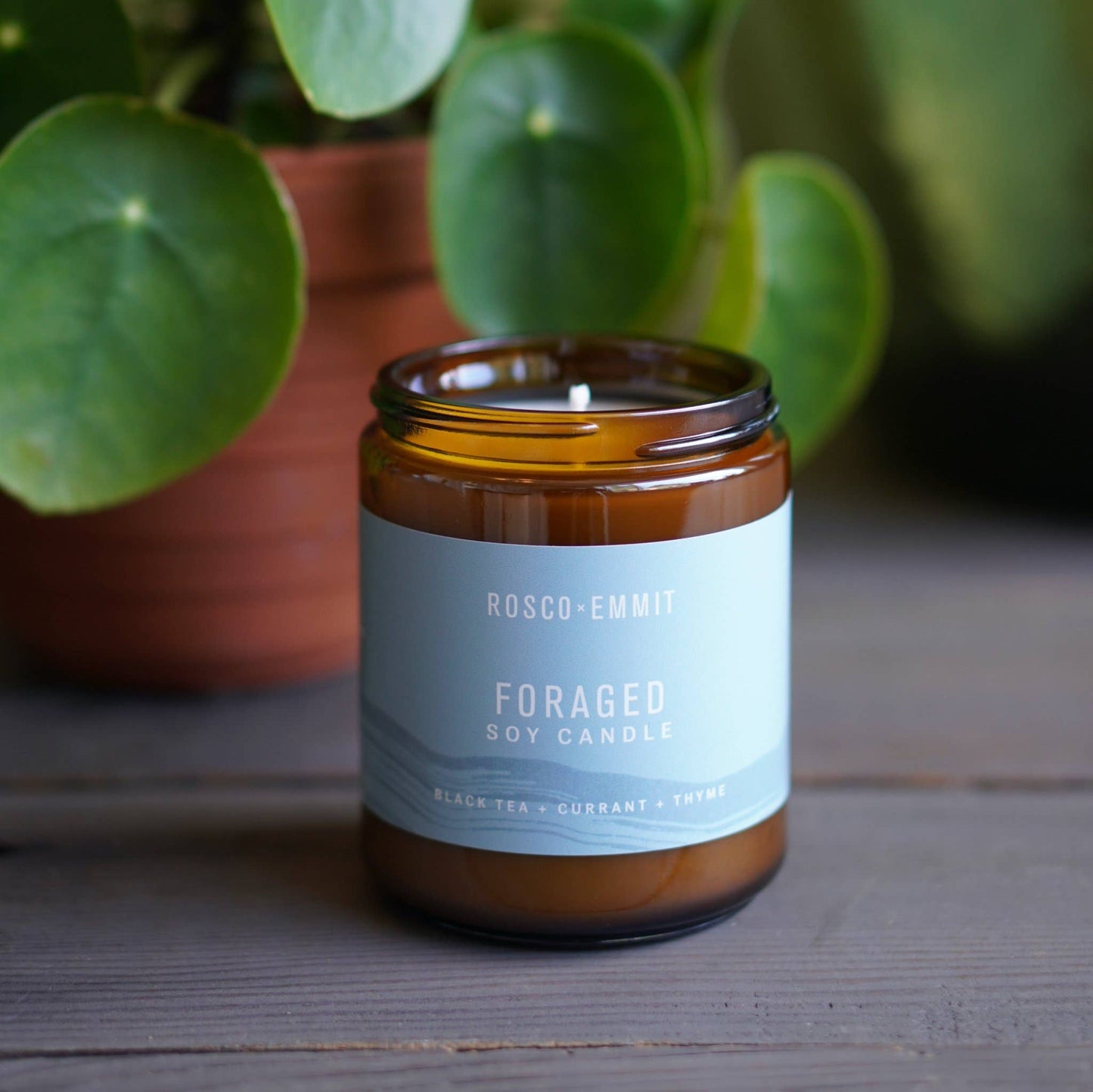 Soy Candle - Foraged (8 oz)