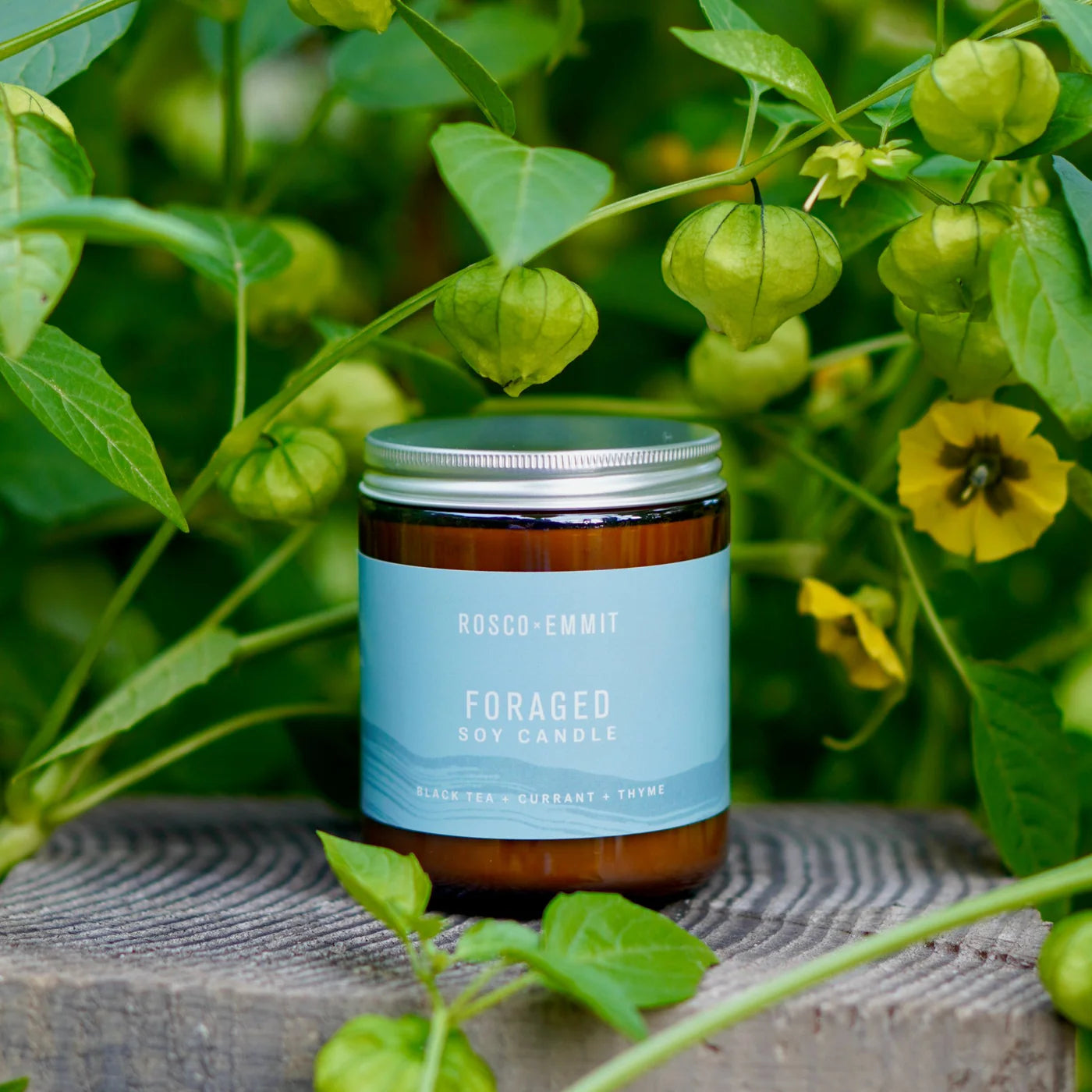 Soy Candle - Foraged (8 oz)