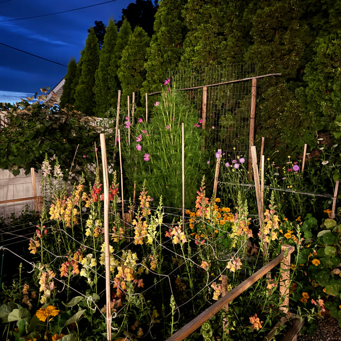 Fair Flowers