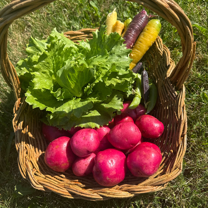 The Garden Basket