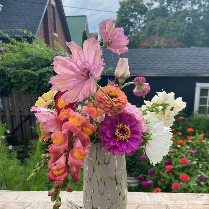 Marianne's garden diary