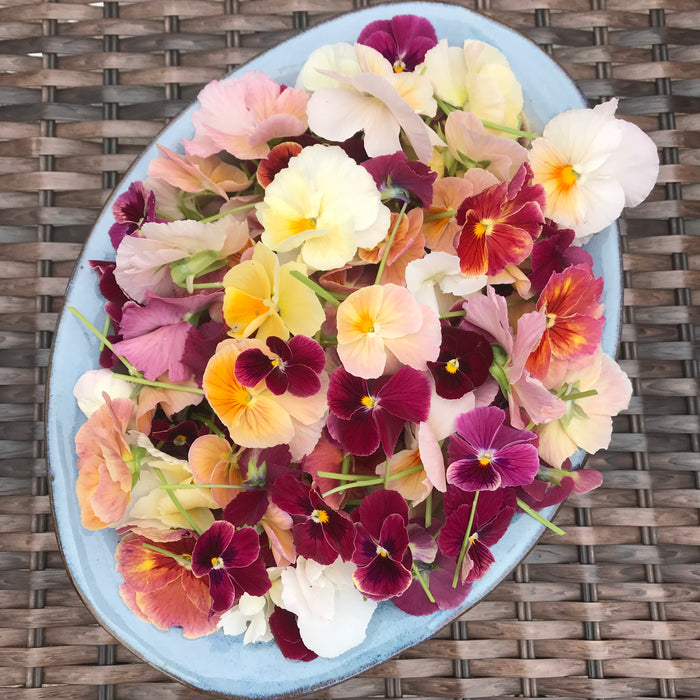 Violas