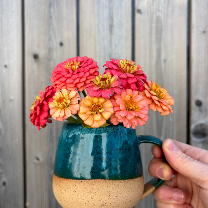 Backyard Blooms 