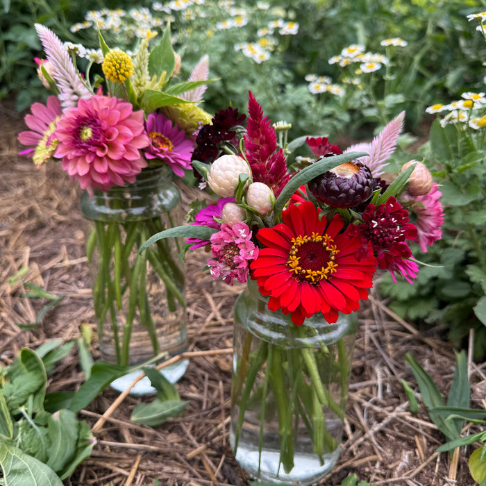 I can’t believe this came from my garden!
