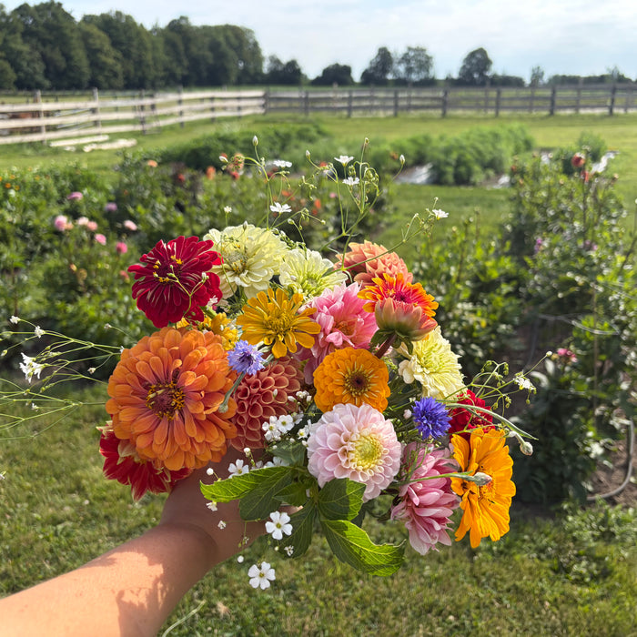 Garden love💐