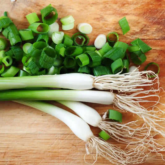 Green Onion Scallion Seeds - Evergreen Hardy White