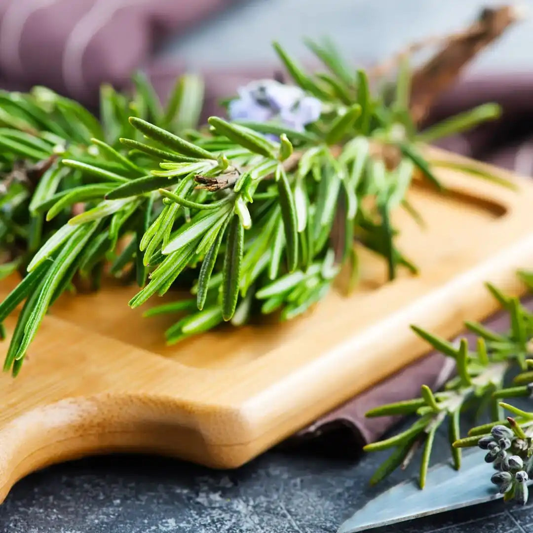 Rosemary