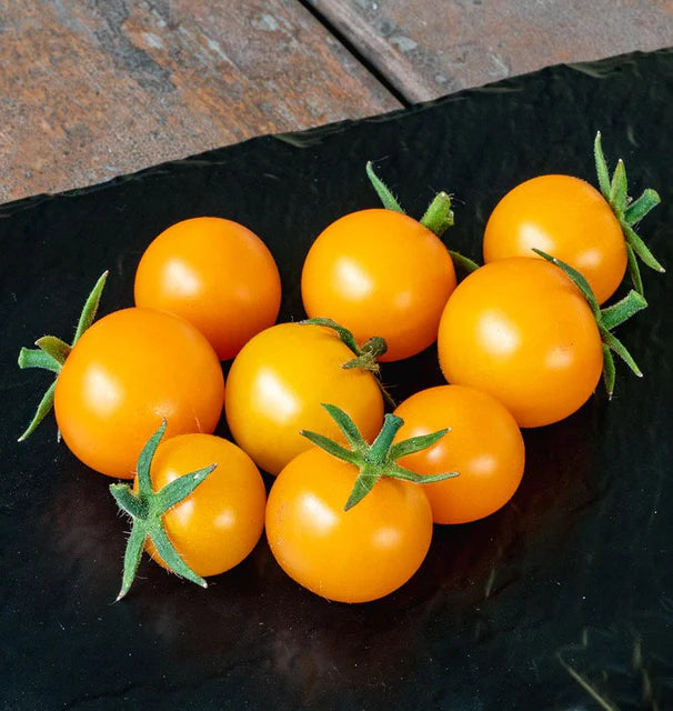 Tomato Seeds - Cherry Sungold