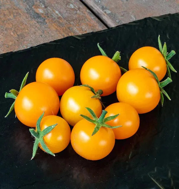 Tomato Seeds - Cherry Sungold