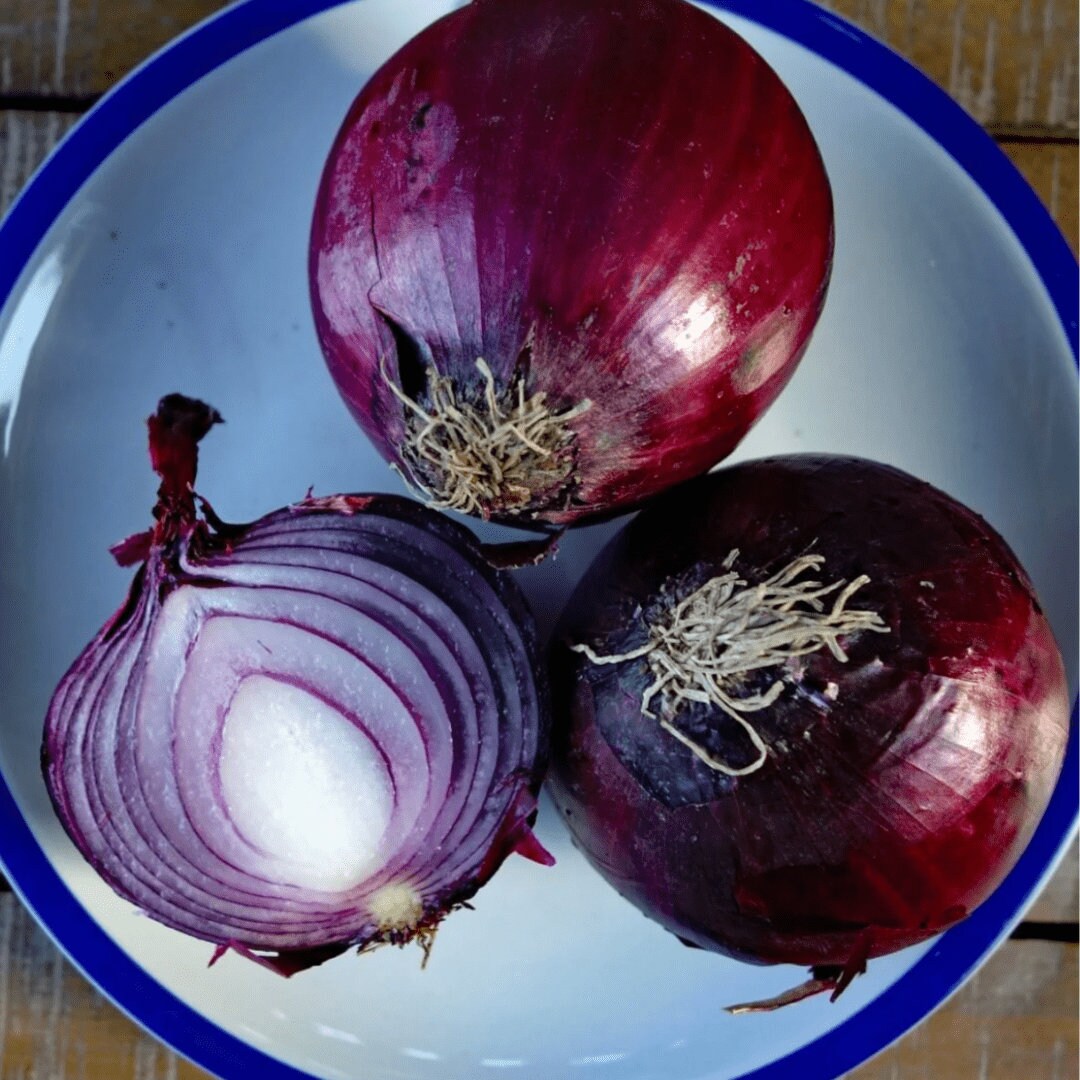 Red Onion Rouge De Saint Trojean
