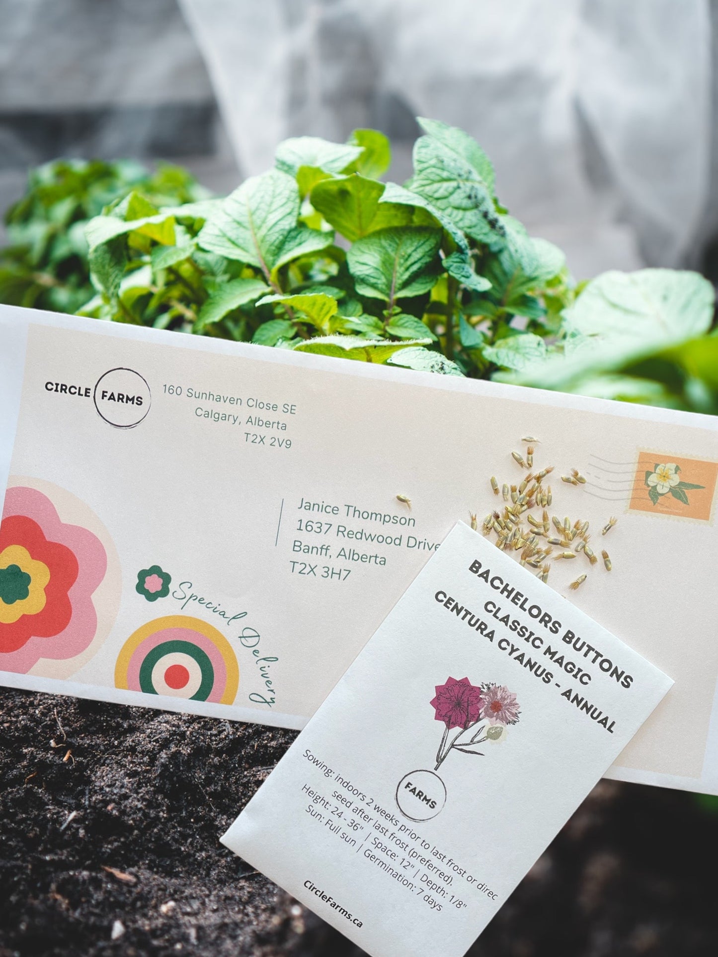 Canadian Seed Subscription - 1 Year Mixed Seeds Gift Subscription