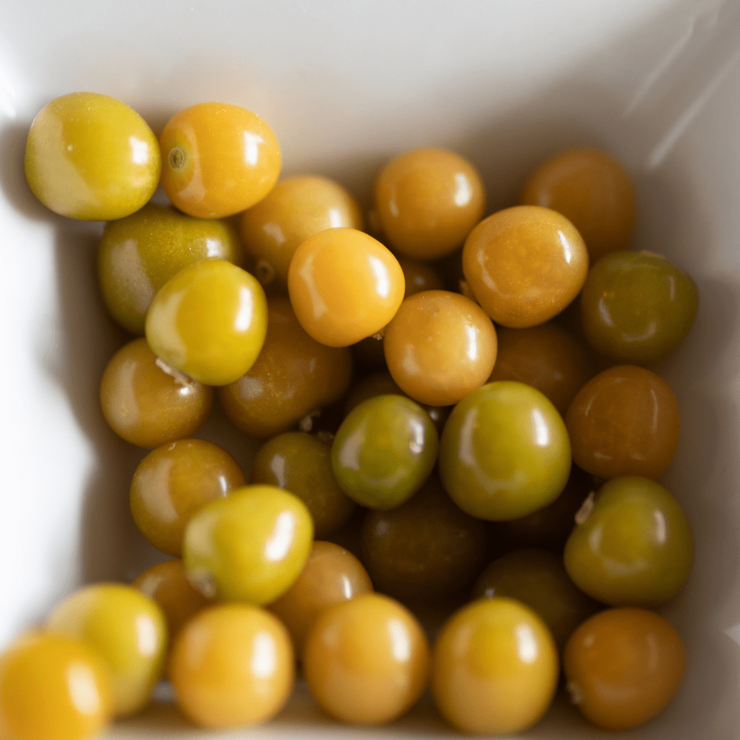 Ground Cherry - Aunt Molly's