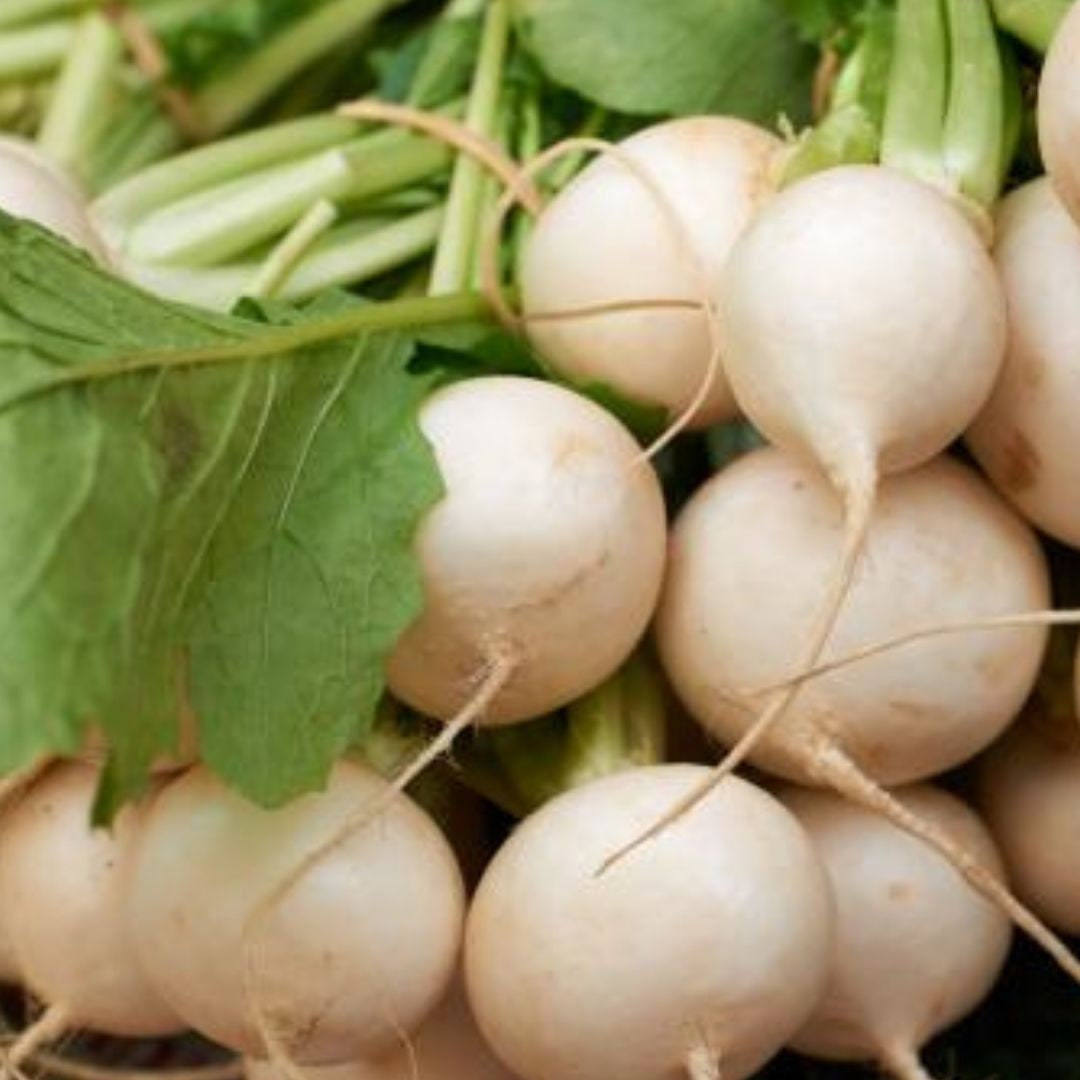 White Turnip Seeds - Hakurei