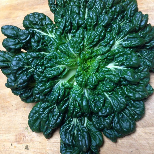 Tatsoi Seeds (Chinese Spinach)