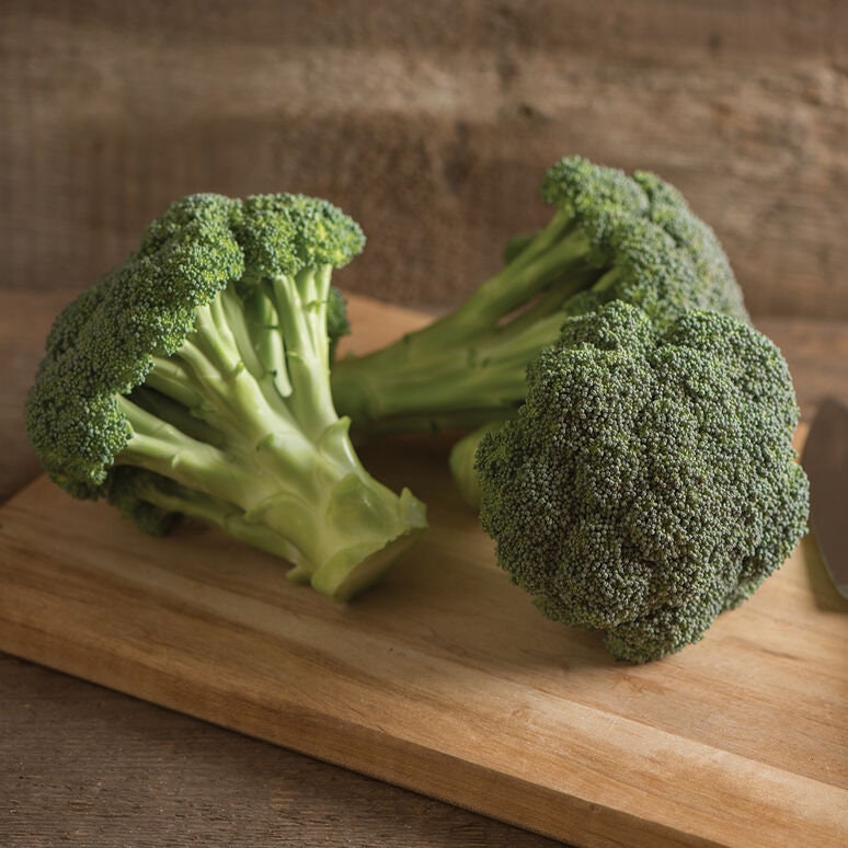 Green Magic Broccoli